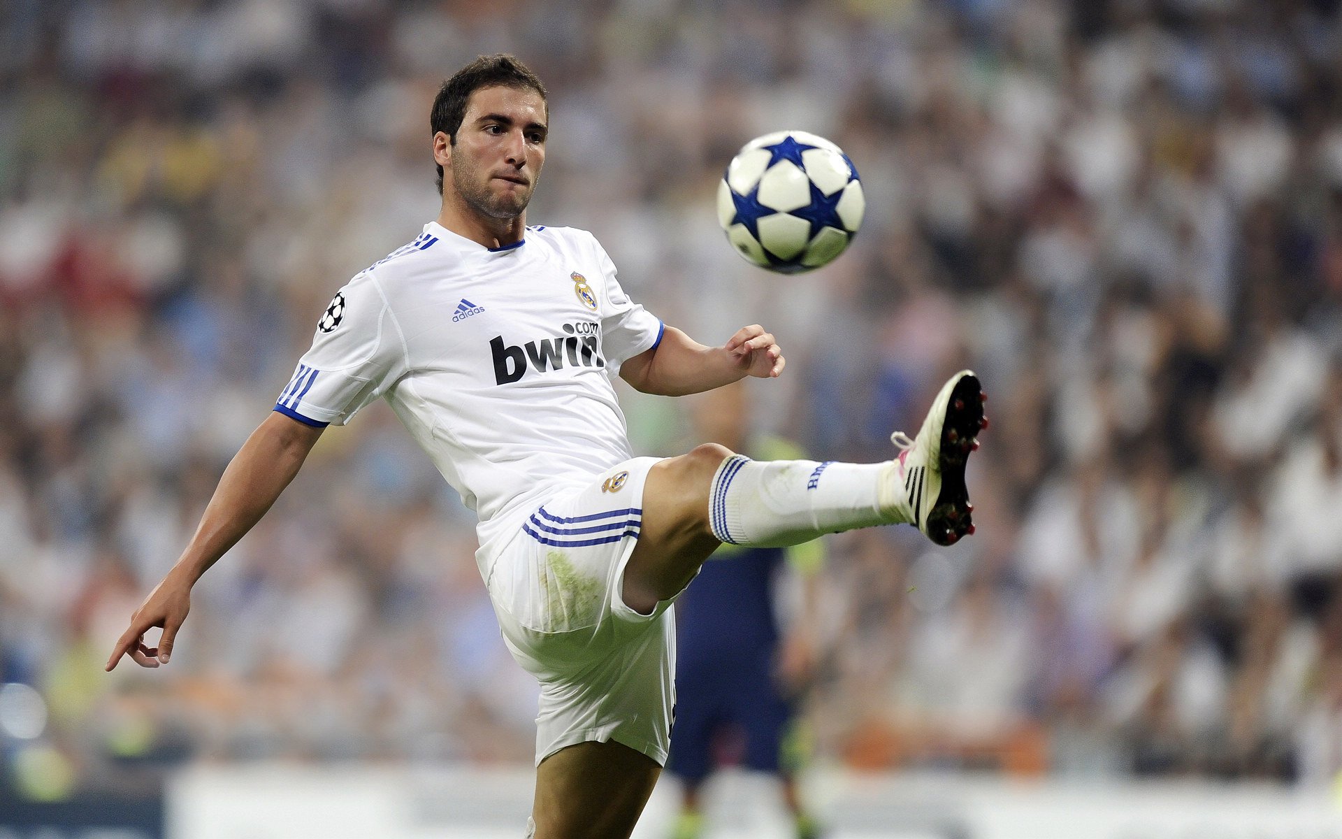 中国队在乒乓球项目中夺得六枚金牌，巩固了其在亚洲的领先地位。