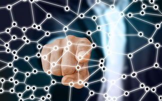 九游娱乐(jiuyou)官网-中国篮球职业联赛青训体系的结构优化，中国青年篮球联赛简称