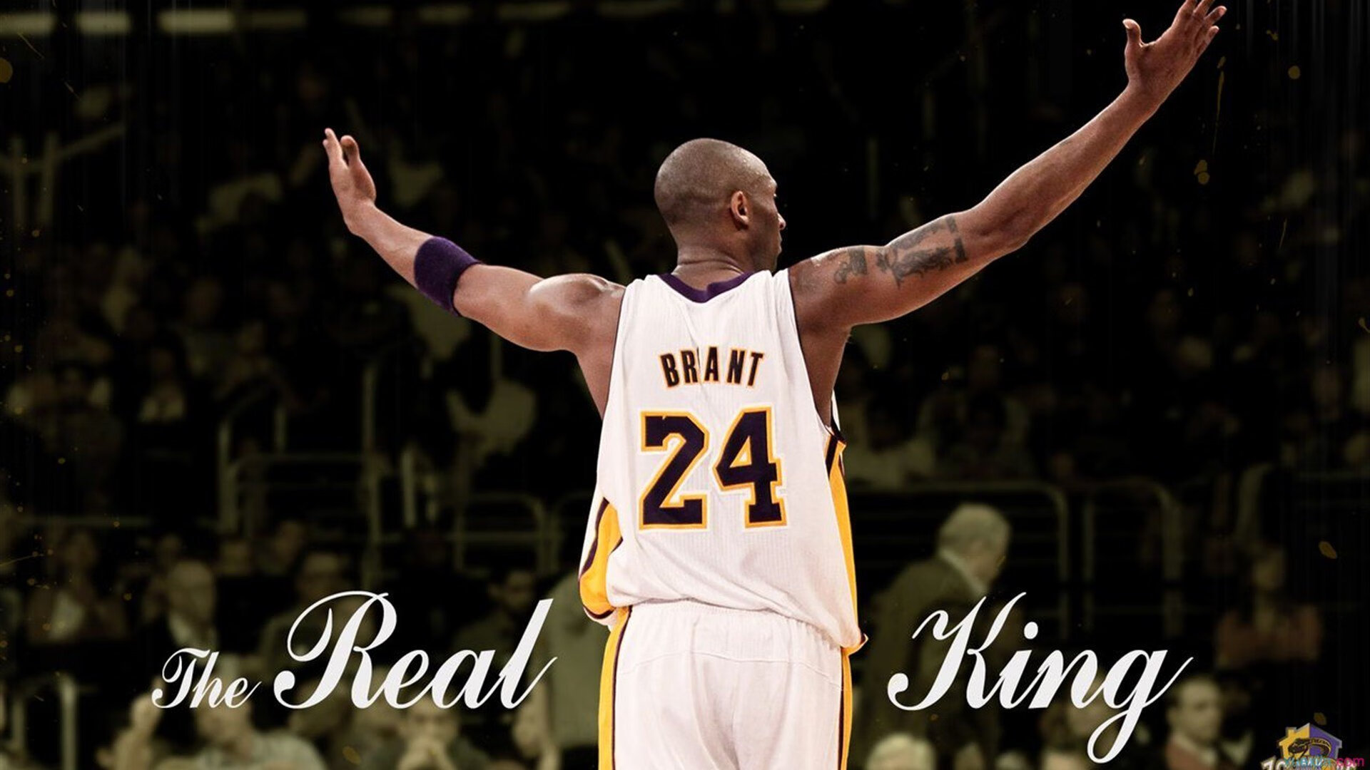 田径项目专项训练成效显著,田径专项体能训练